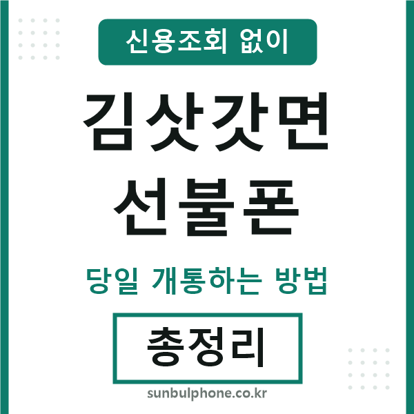 김삿갓면선불폰