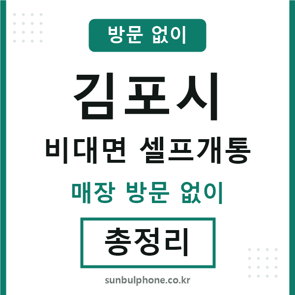김포 비대면 셀프개통