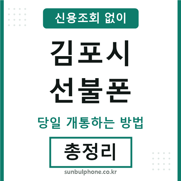 김포시선불폰