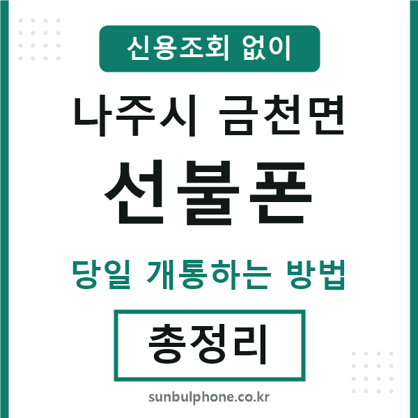 나주시금천면선불폰