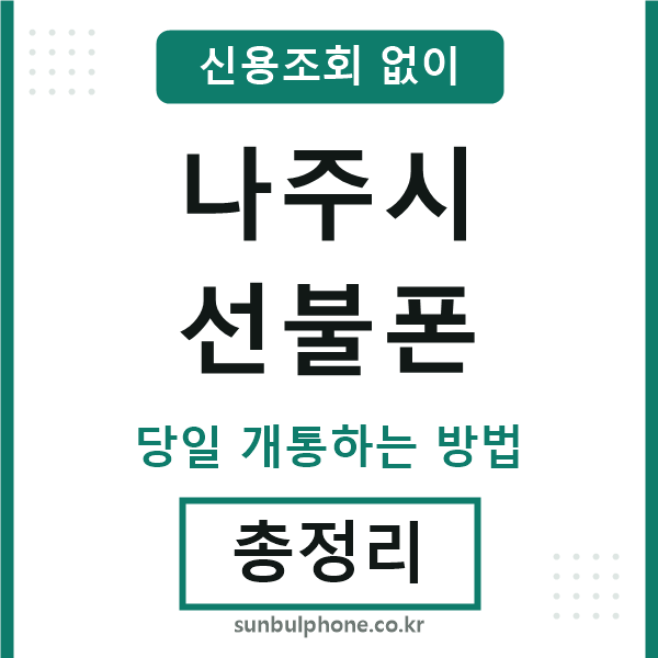 나주시선불폰