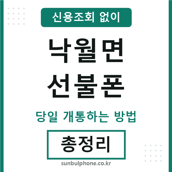 낙월면선불폰