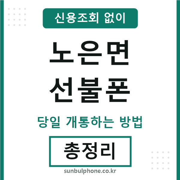 노은면선불폰
