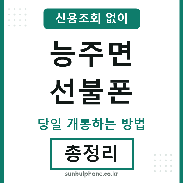 능주면선불폰
