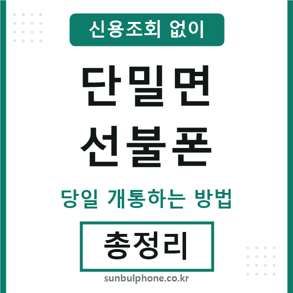 단밀면선불폰