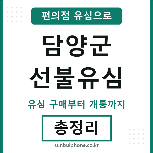 담양군선불유심