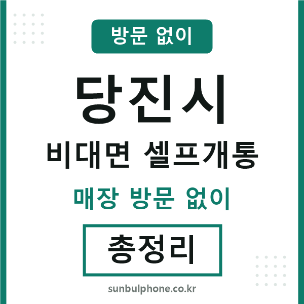 당진 비대면 셀프개통