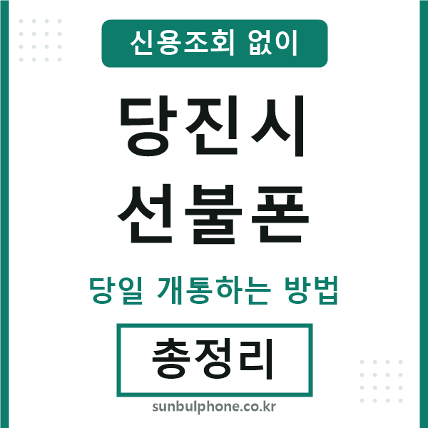 당진시선불폰