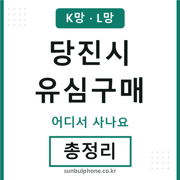 당진 유심구매