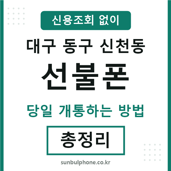 대구동구신천동선불폰