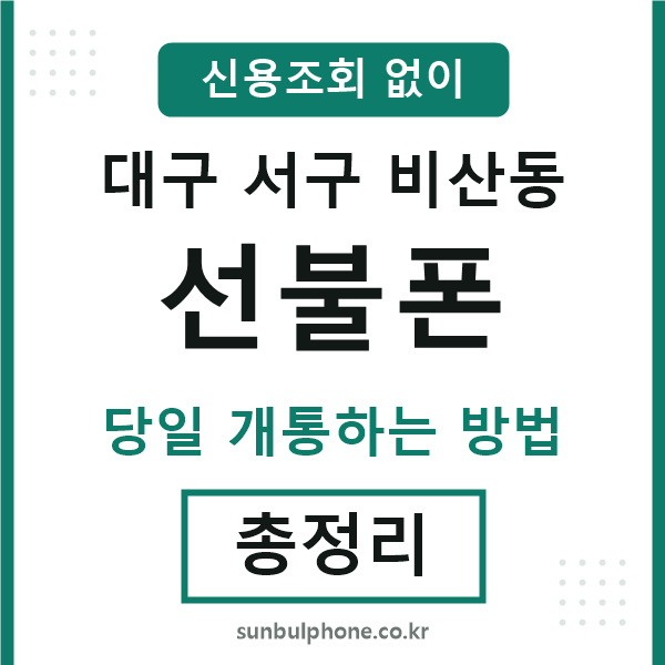 대구서구비산동선불폰