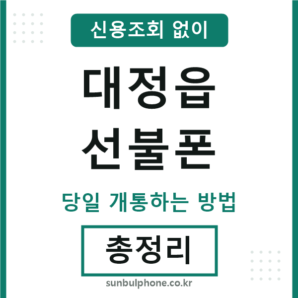 대정읍선불폰