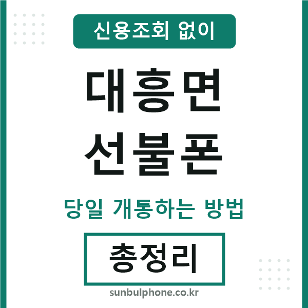 대흥면선불폰