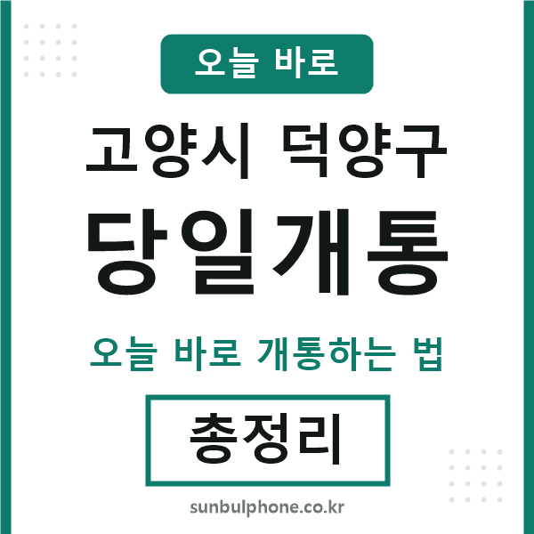 덕양구 당일개통