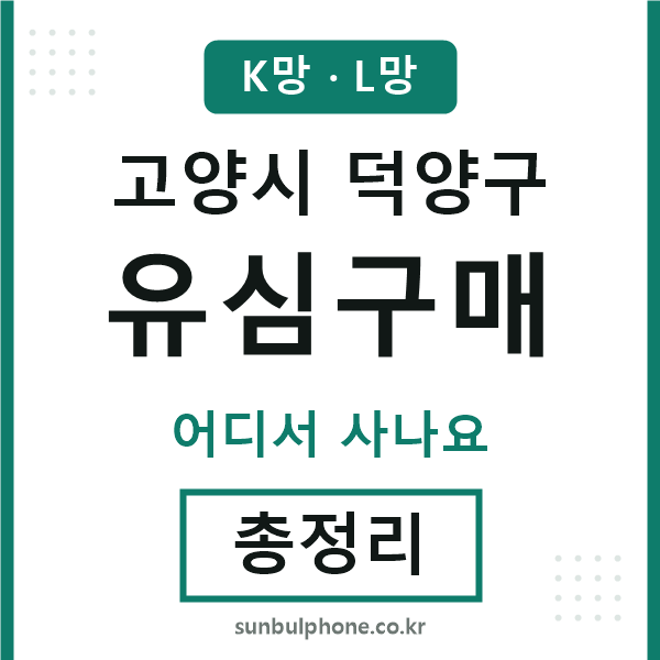 덕양구 유심구매