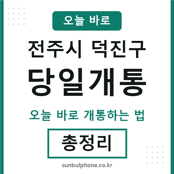 덕진구 당일개통