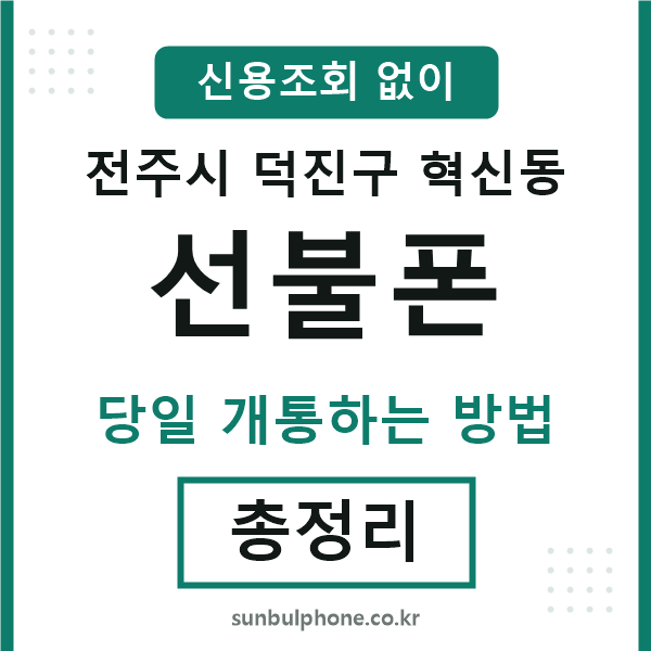 덕진구혁신동선불폰