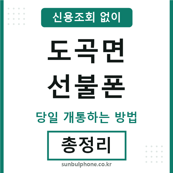 도곡면선불폰