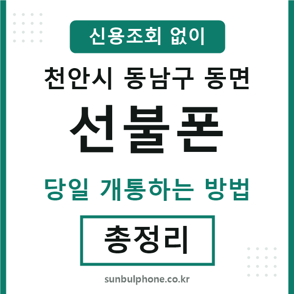 동남구동면선불폰