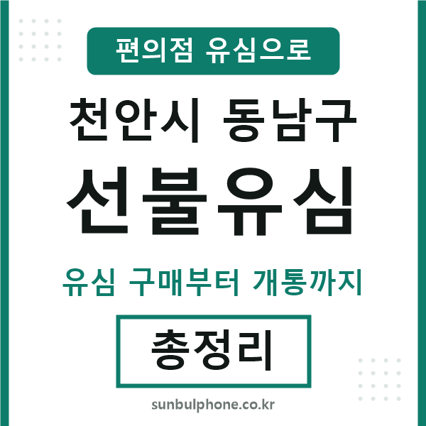동남구선불유심