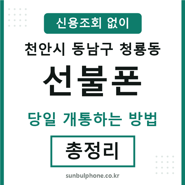 동남구청룡동선불폰