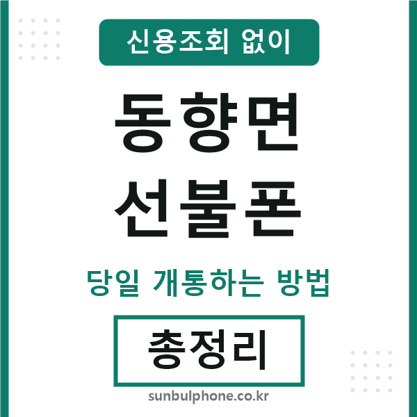 동향면선불폰