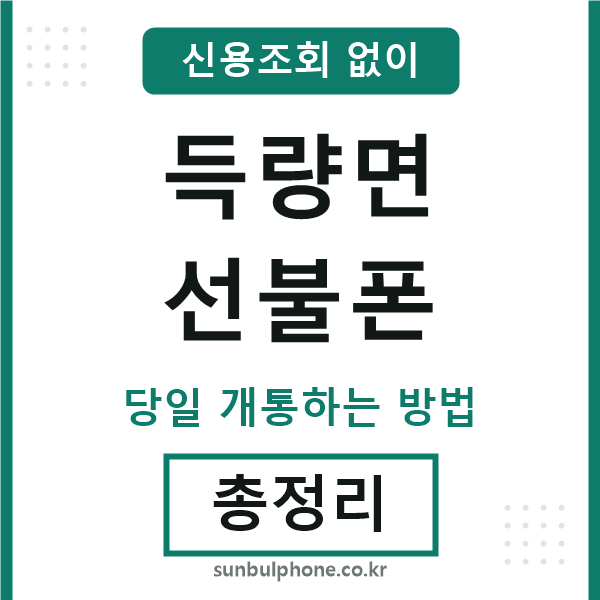 득량면선불폰