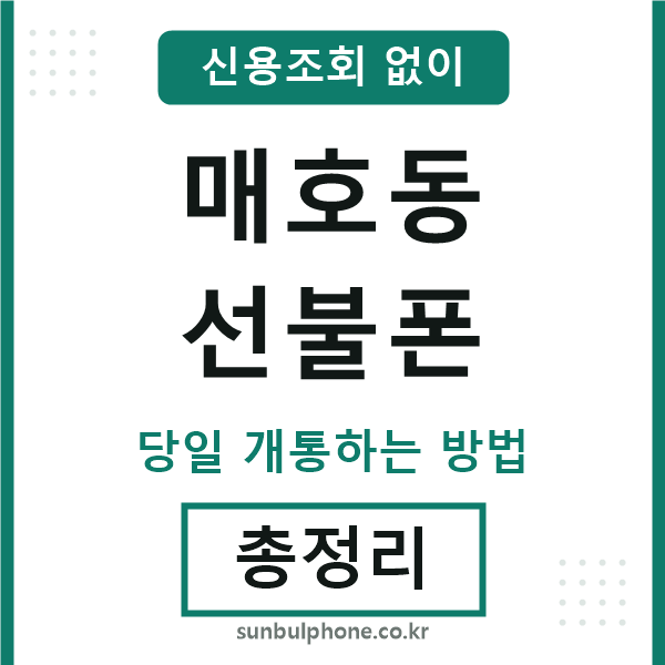 매호동선불폰