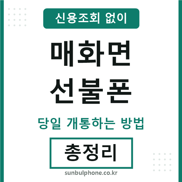 매화면선불폰