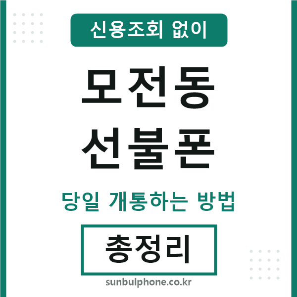 모전동선불폰