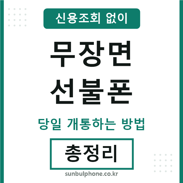 무장면선불폰