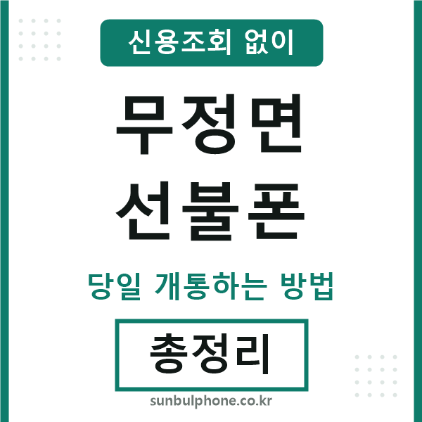 무정면선불폰