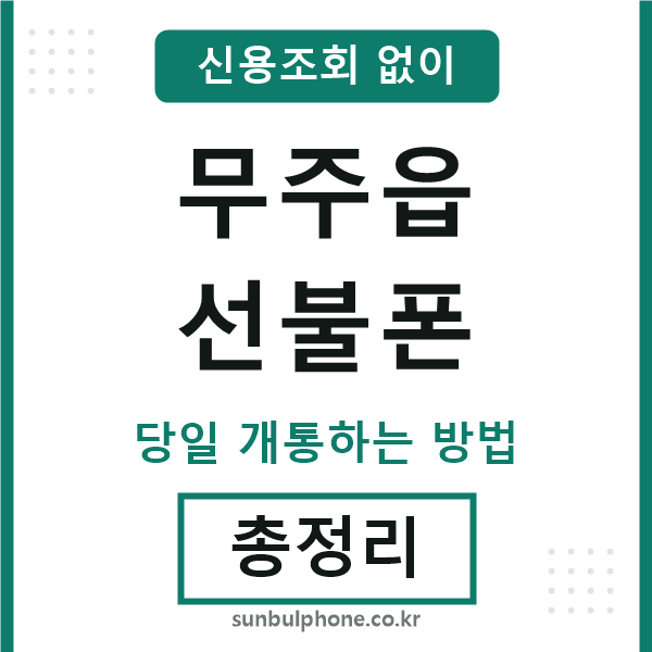 무주읍선불폰