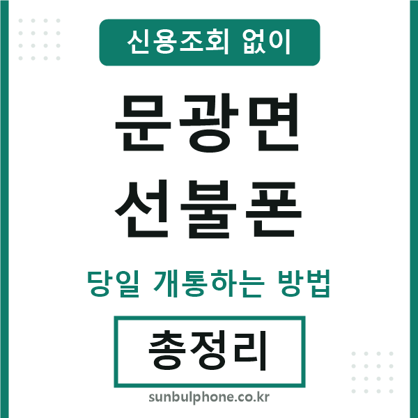 문광면선불폰