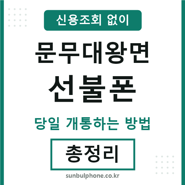 문무대왕면선불폰