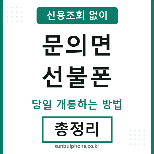 문의면선불폰