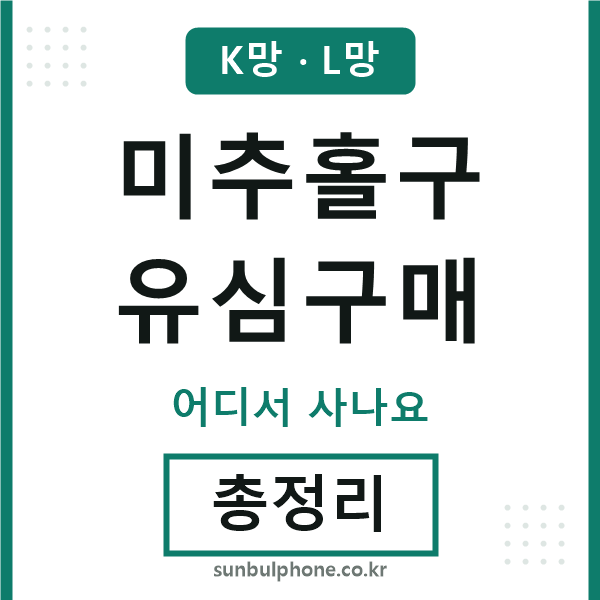 미추홀 유심구매