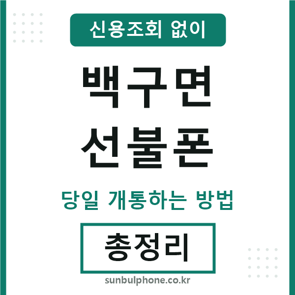 백구면선불폰