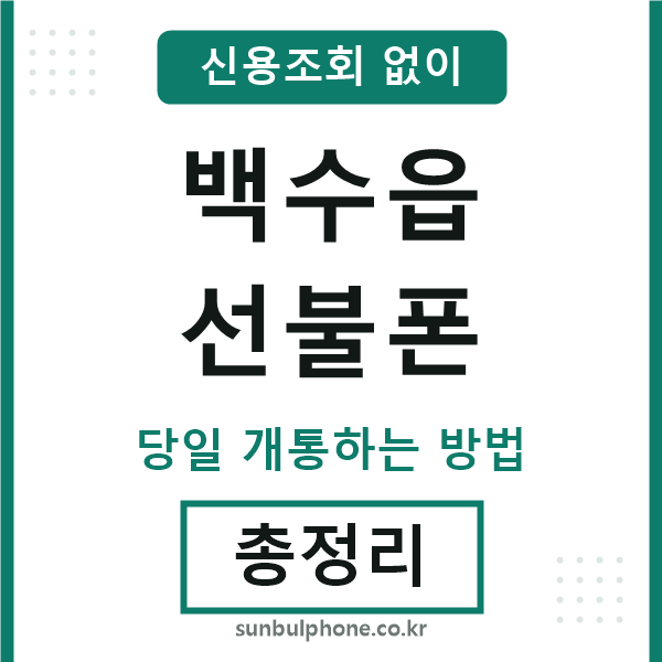 백수읍선불폰