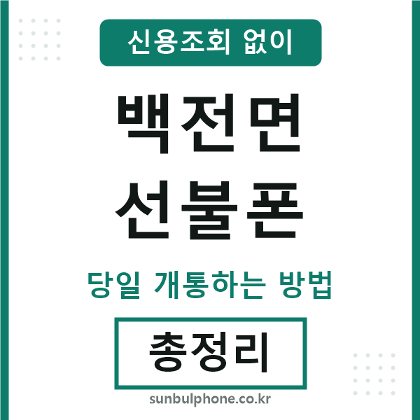 백전면선불폰