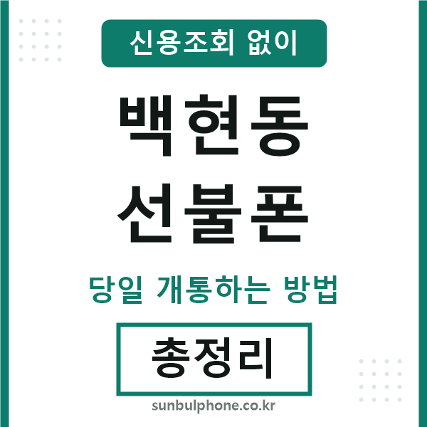백현동선불폰