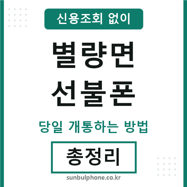 별량면선불폰