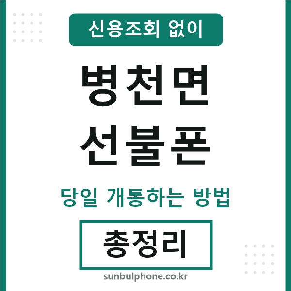 병천면선불폰