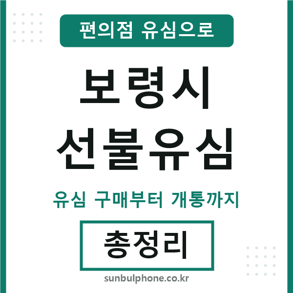 보령선불유심