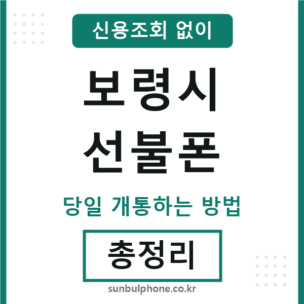 보령시선불폰