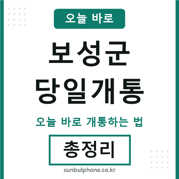 보성군 당일개통