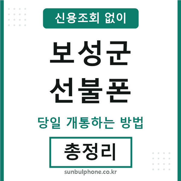 보성군선불폰
