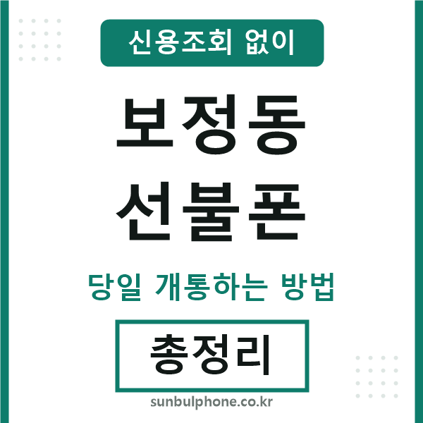 보정동선불폰