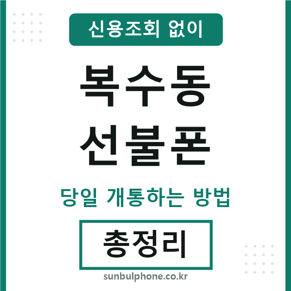 복수동선불폰