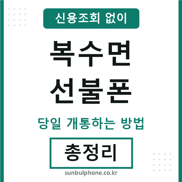 복수면선불폰